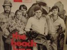 BEACH BOYS - COTTONFIELDS , PORTUGAL EP RARE UNIQUE BRIAN WILSON