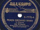 BLUES - JOE WILLIAMS 