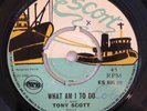 TONY SCOTT - WHAT AM I TO DO - ESCORT ( SKINHEAD 7 )