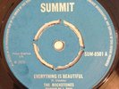 ROCKSTONES (GAYLADS) - EVERYTHING IS BEAUTIFUL - SUMMIT ( VERY RARE SKINHEAD 7 )