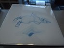 Devendra Banhart - Ape In Pink Marble - LP Vinyl // Neu&OVP // incl. DL & Poster