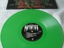 Langspielplatte,LP.Vinyl,Autopsy,Mental Funeral,grün,1991,Death Metal,Nachlass