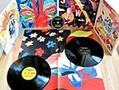 THE AVALANCHES - Wildflower   DELUXE 2 LP + CD + Poster + 4fach-Cover   Ungehört