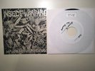 Insect Warfare At War with Grindcore 7