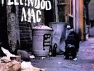 PETER (FLEETWOOD) (MAC GREEN - PETER GREEN'S FLEETWOOD MAC (180GM) NEW VINYL