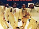 Pharcyde, The - LabCabinCalifornia '95 2xLP US ORG  Diamond