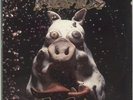 Pork Soda Primus 2-LP vinyl record (Double Album) USA 772738-1 PRAWN SONG 1993