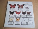 the Jam – The Butterfly Collector (1980) rare live 2 LPs Not Tmoq SEALED