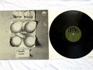SATIN WHALE - DESERT PLACES / MINT- / 1st PRESS GREEN BRAIN  / Kraut Prog Psych