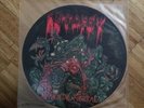AUTOPSY ?– MENTAL FUNERAL PICTURE DISC LP 1ST PRESS 1991 PEACEVILE RECORDS