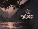 Wilderness America Private LP New Age Soul Funk Iasos SSW Soft Femme, Too