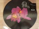 OPETH 'ORCHID' NEW AND UNPLAYED DOUBLE PICTURE DISC VINYL LP