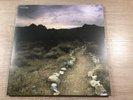 2 LP Travis & Fripp Follow Limited Edition RARE blue/black marbled vinyl 2013