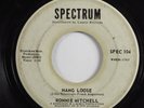Northern Soul 45 RONNIE MITCHELL Hang Loose SPECTRUM HEAR