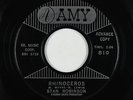 R&B Soul Popcorn 45 - Stan Robinson - Rhinoceros - Amy - mp3