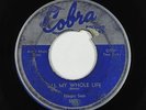 Blues R&B Rocker 45 - Magic Sam - All My Whole Life - Cobra - mp3