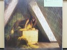 Vinyl LP Records EMS-81135 Kate Bush - Lionheart