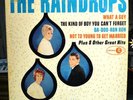 THE RAINDROPS Jubilee JGM 5023 original label RARE LP RECORD VG+