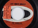 Northern Soul 45 SHIRELLES Last Minute Miracle SCEPTER HEAR