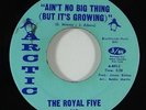 Royal Five 