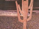 Indian Summer: Indian Summer. 1LP Neon. First press. Orig. UK 1971 Black