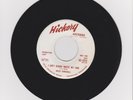 WiLeY BaRKDuLL RoCKaBiLLy HiCKoRY 45 PRoMo I aiN'T GoNNa WaSTe My TiMe HeY HoNeY
