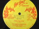 PRAY TO THEE MIGHTY  DIAMONDS - HOT HEAT DEEP ROOTS REGGAE 12