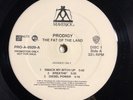 Prodigy - The Fat of The Land - 2 Disc Vinyl Album