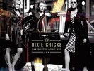 Dixie Chicks - Taking the Long Way Vinyl LP (2) Col NEW