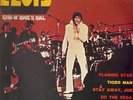 Elvis Presley King Of Rock N Roll RCA 2xVinyl LP