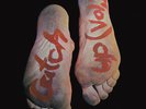 Catch Up - Vol. 1 [New Vinyl LP]