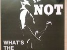 NOT What's The Reason 12