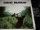 DAVID MURRAY : DEEP RIVER JAPAN LP 1989 DISK UNION DIW 8030 +INSERT