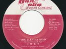 CWCP You Blew My Mind DAN RYAN Rare Illinois Modern Soul 45 Obscure HEAR