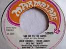 DRISCOLL, AUGER & TRINITY   TAKE ME TO THE WATER ** 1969 MARMALADE 45