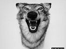 YELAWOLF - LOVE STORY - 2LP VINYL LP - NEU