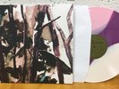 HOP ALONG Bark Your Head Off, Dog Tri-Color Vinyl LP