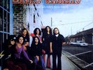 LYNYRD SKYNYRD PRONOUNCED RARE SEALED ORIG #ED LTD EDITION MFSL AUDIOPHILE LP