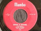 Willie Eggins, Mambo 102, What A Shame & WOW WOW, Great blues