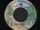 HARRY T. BOOKER: Mister Is Blue / Mono 45 (dj, Ballad) rare Soul