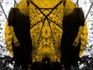 AUSTRA FEEL IT BREAK LP VINYL NEW (US)