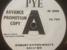TAMMY ST. JOHN 'Nobody knows what's goin' on' UK PYE DEMO MOD/SOUL 45