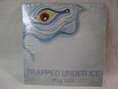 Trapped Under Ice 