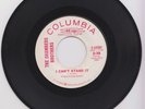 THE CHAMBERS BROTHERS - I Cant Stand It / Please Dont Leave Me