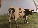 PINK FLOYD-ATOM HEART MOTHER..SUPERB  COMPLETE 1ST UK PRESS N/MINT VINYL LP 1970