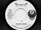 Cool Sounds - Comin' Home / Rag Doll (Soul, 45)