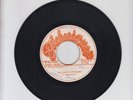 TECHNIQUES/ NOTHING IS IMPOSSIBLE -  THE INTERNS (75 REGGAE ROOTS 7
