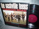 The Nashville Teens  