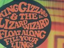 KING GIZZARD & THE LIZARD WIZARD 500 LIMITED ORANGE..FLOAT ALONG FILL YOUR LUNGS