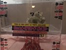 The Flaming Lips 1st vinyl release 12